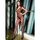 Music Legs Queen Size Open Crotch Seamless Fishnet Body